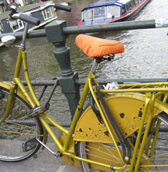 Gold-colored bike with stylish splashguard and an orange seat protector