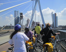 Rotterdam - Erasmus bridge