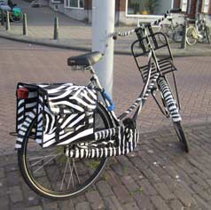 Bicycle with zebra stripepattern